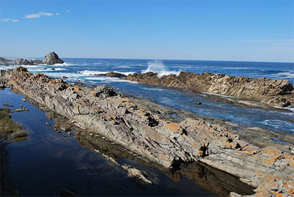 Loerie trail, Tsitsikamma National park