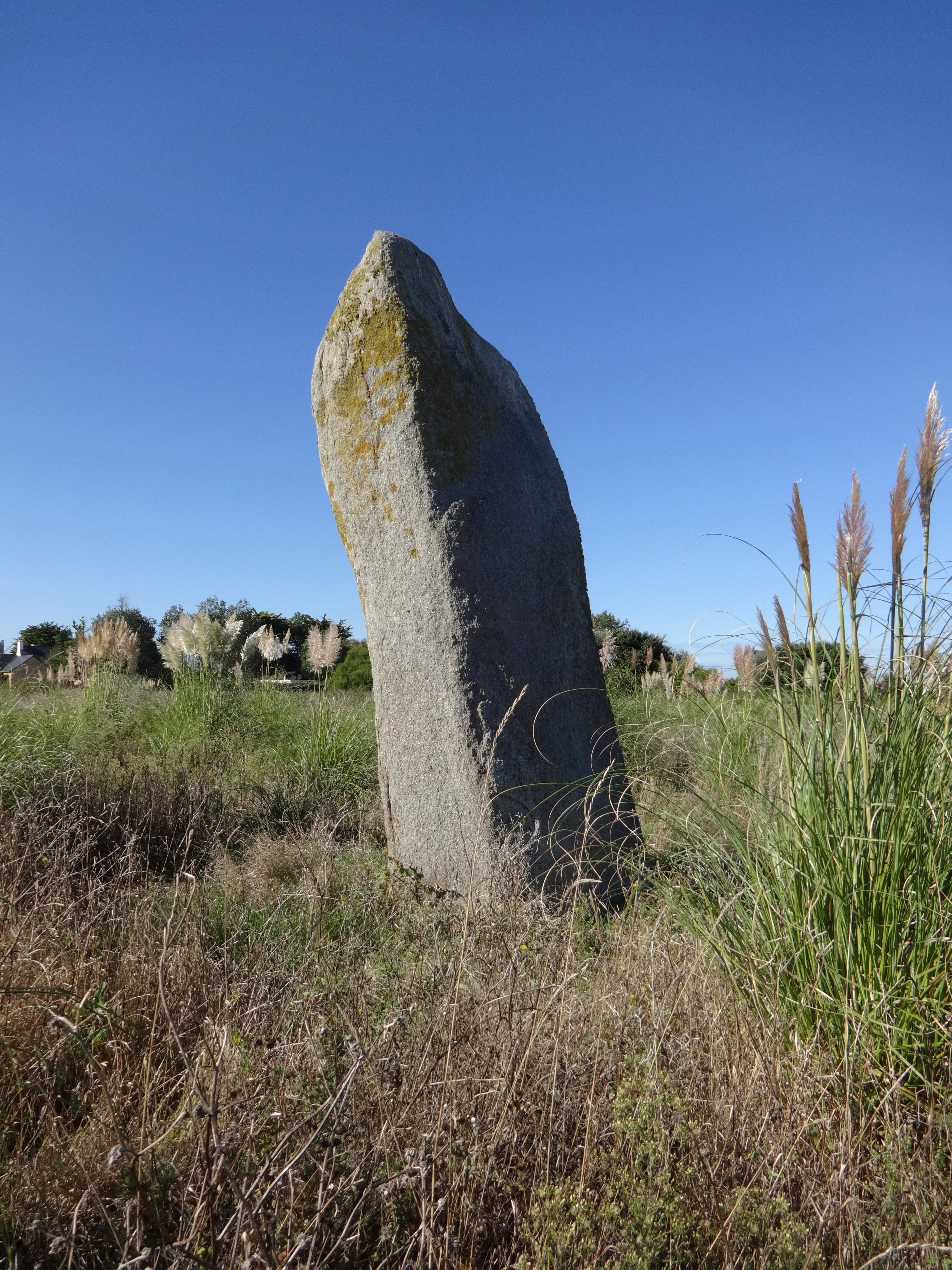 Menhir de Porz ar Streat Menhir de Porz ar Streat