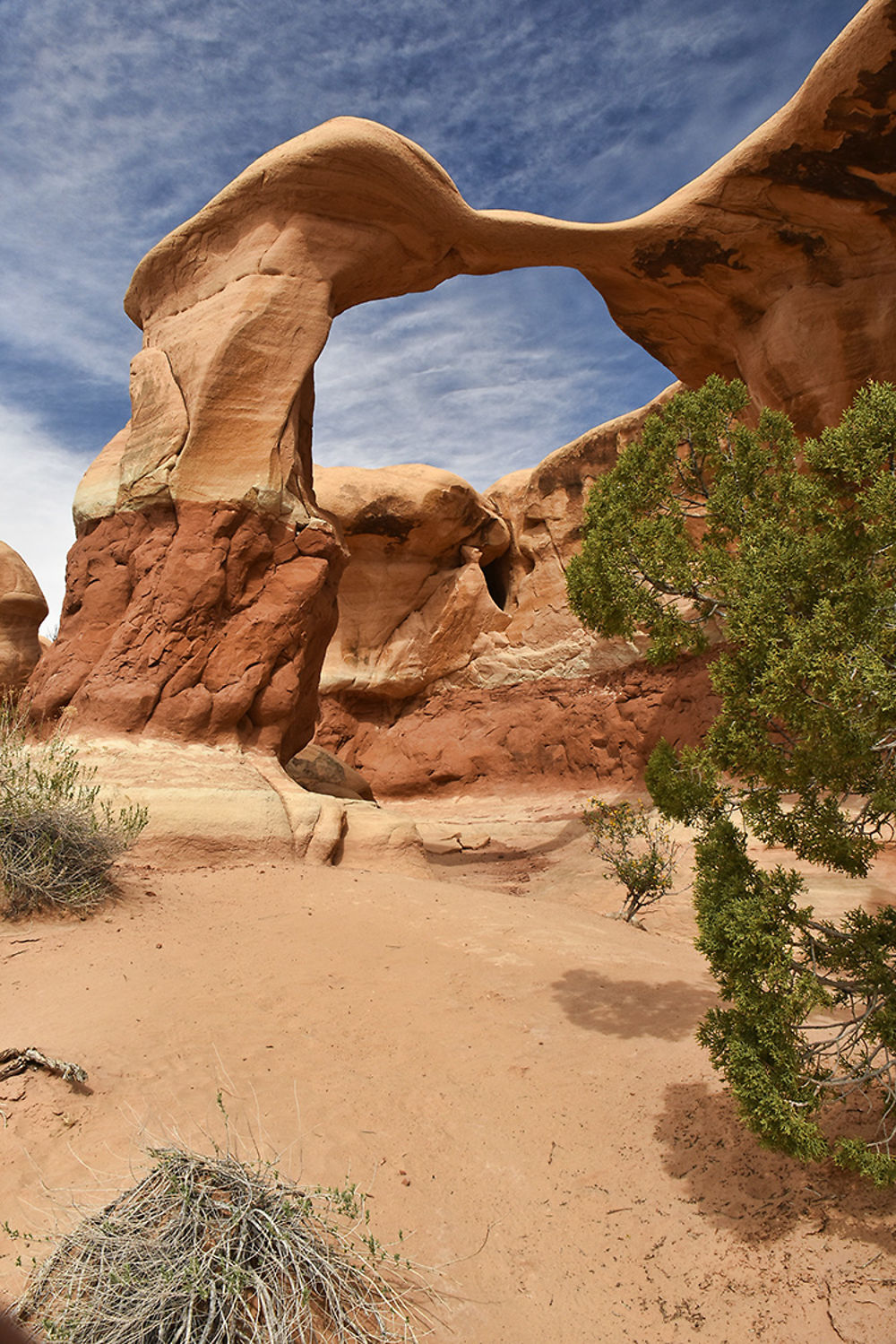 Metate Arch