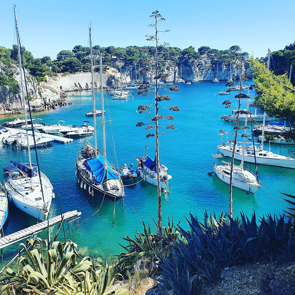 Les calanques de Cassis 