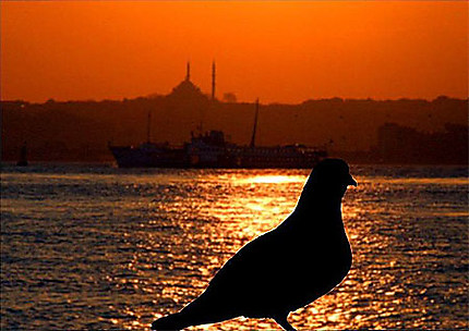 Soleil d'Istanbul
