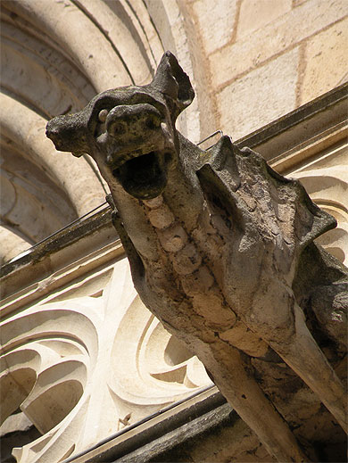 Chimère