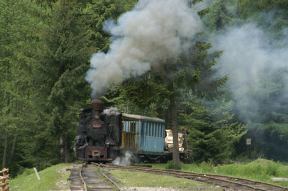 Vapeur dans la Vaser