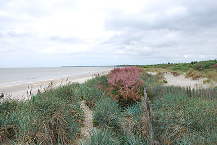 Ciel gris sur les dunes du Crotoy