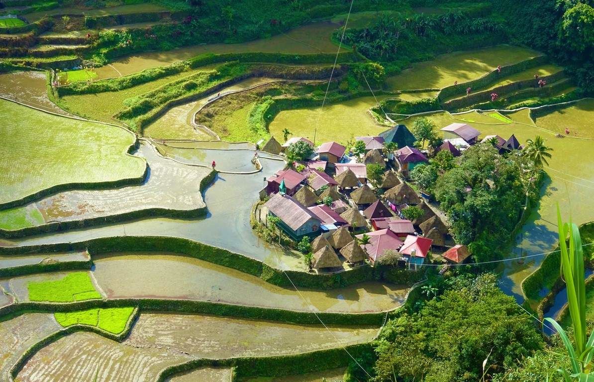 Batad et ses rizières en terrasses vertigineuses