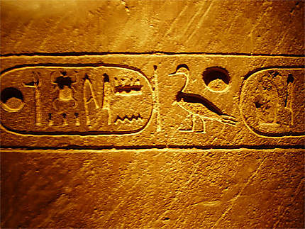 Hiéroglyphes au musée de l'Egypte antique