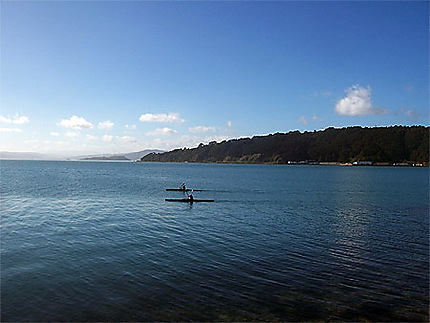 Deux canoës dans la baie de Wellington
