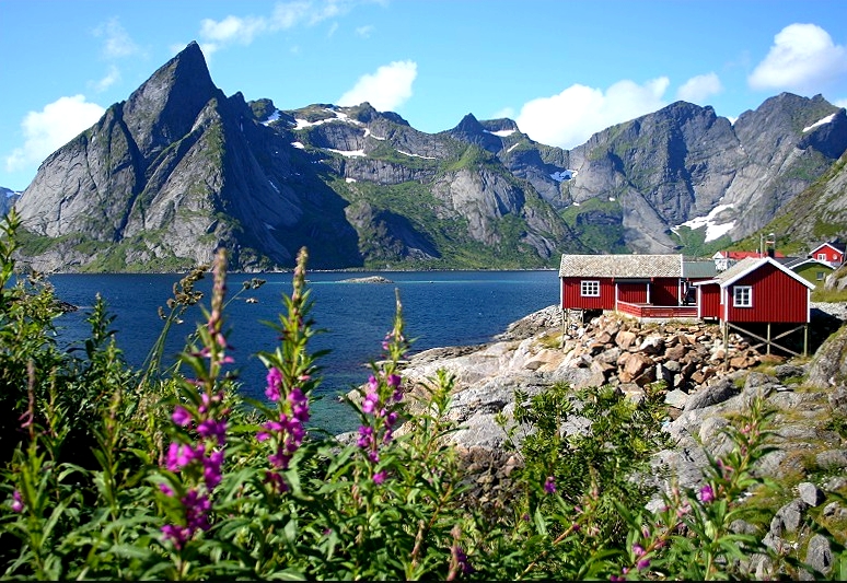 Superbes Lofoten Superbes Lofoten