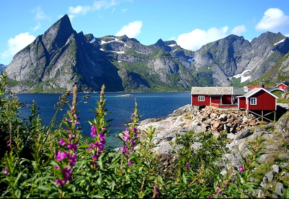 Superbes Lofoten