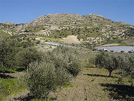 Paysage aux environs de Licata