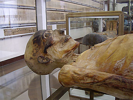 Momie au musée de l'Egypte antique 