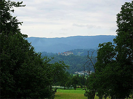 Vue lointaine du château de Bled