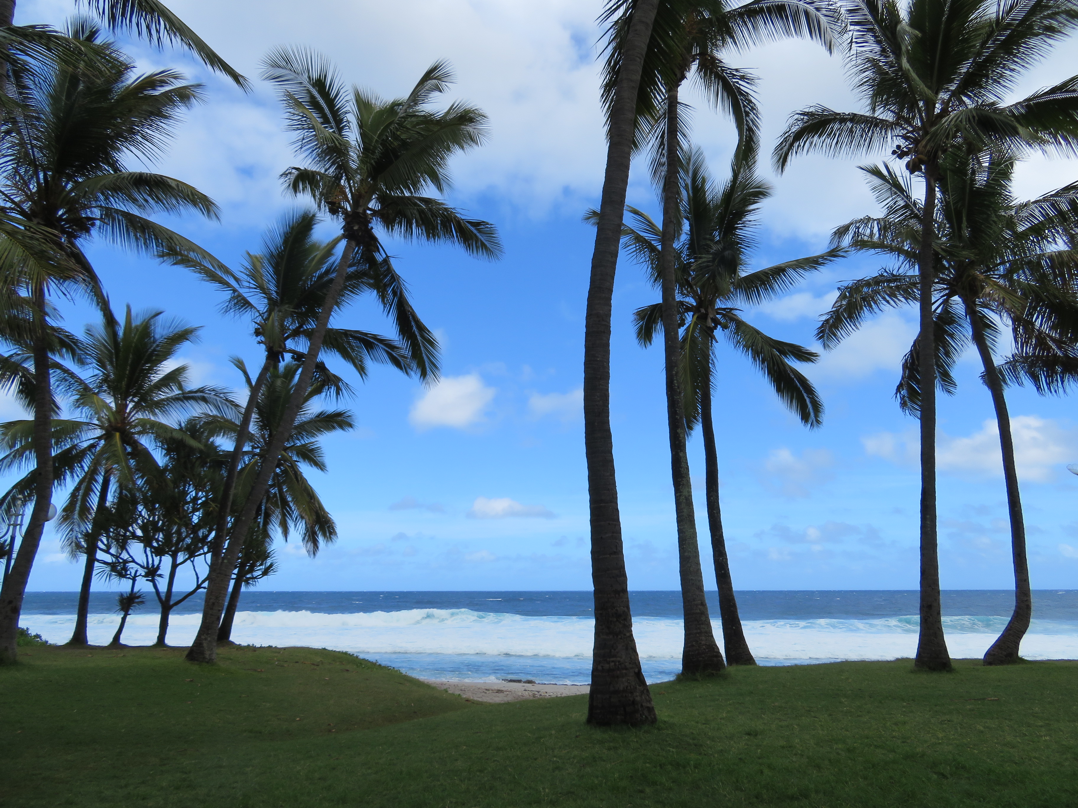 Plage de Grande Anse Plage de Grande Anse