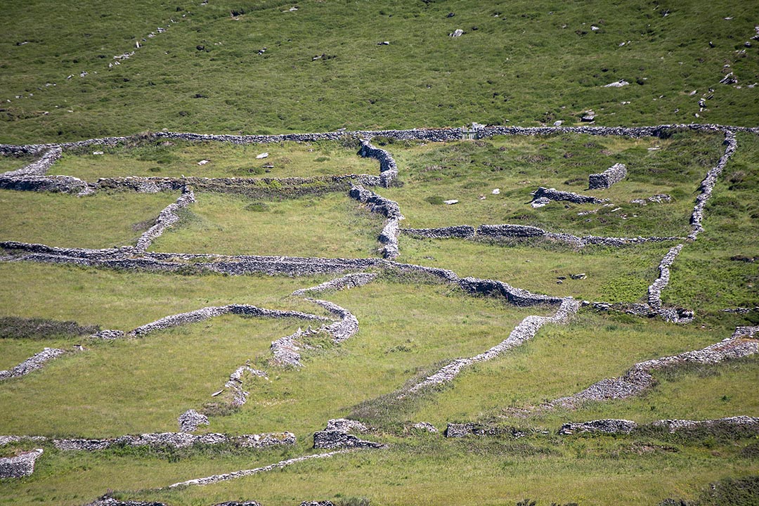 Des murets à Dún Chaoin Des murets à Dún Chaoin