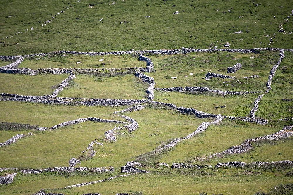 Des murets à Dún Chaoin