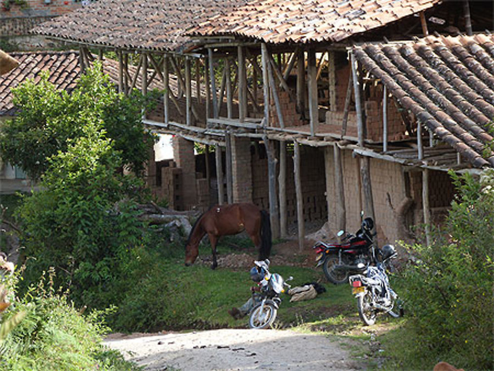 Fabrique de briques d'argile