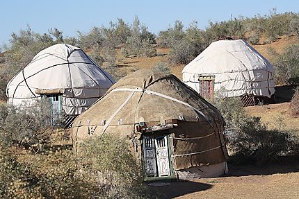 Campement de yourtes au beau milieu du désert