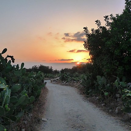 Coucher de soleil à Ni'lin, Cisjordanie