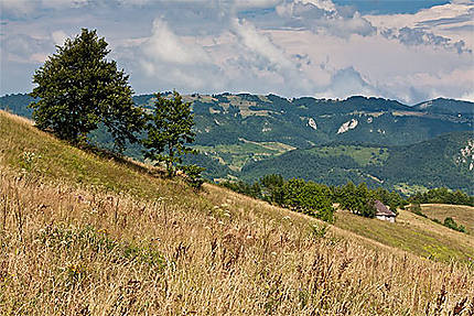 Paysage typique de la Serbie occidentale