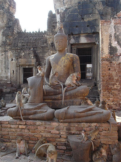 Statue de Bouddha avec singes Statue de Bouddha avec singes