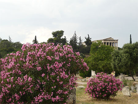 L'Agora L'Agora