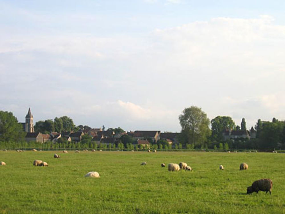 Néons-sur-Creuse