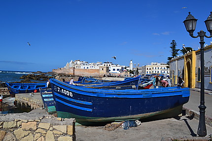 Barques de pêche à Essaouira