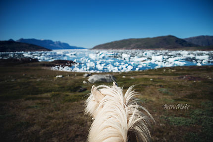 Randonnée à cheval au Groenland