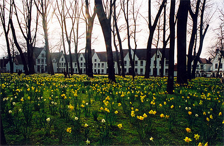 Le Beguinage à Bruges Le Beguinage à Bruges