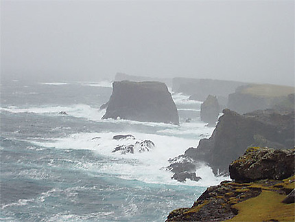 Les falaises aux Iles Shetland