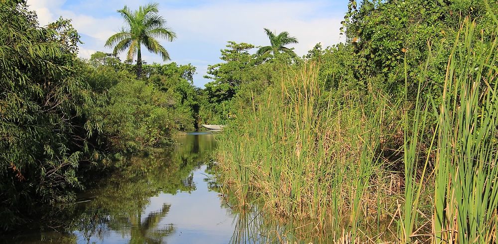 USA : Everglades, la Floride côté nature
