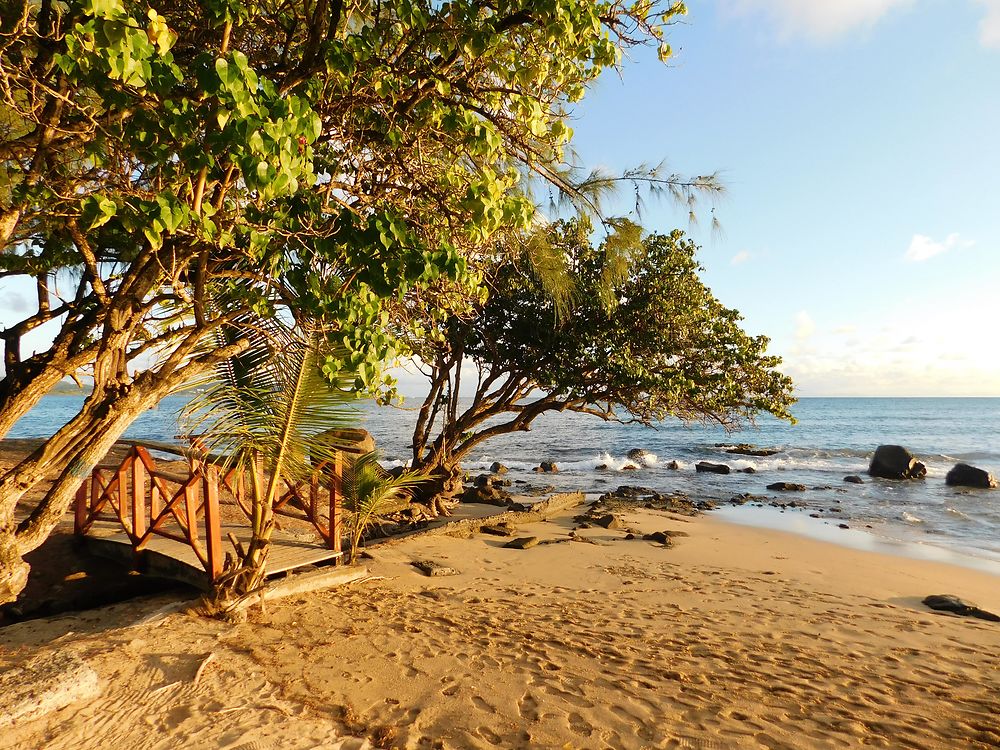 Bord de mer au couchant à Sainte-Luce, Martinique