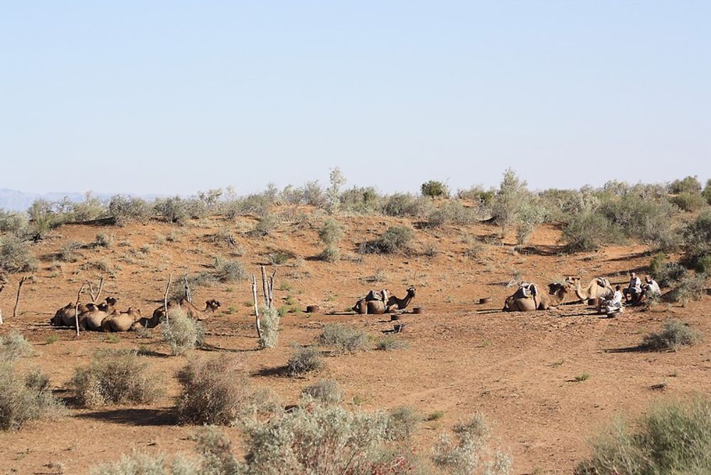 Le Kysyl Kum ou sable rouge