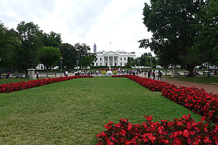 La Maison Blanche et son parterre de fleurs