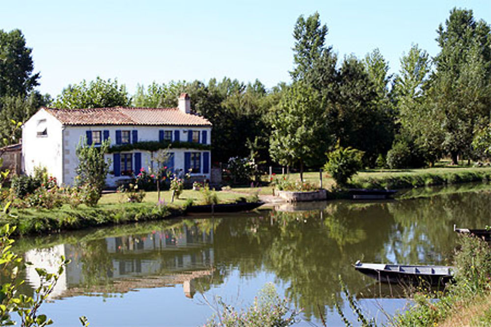 La maison bleue