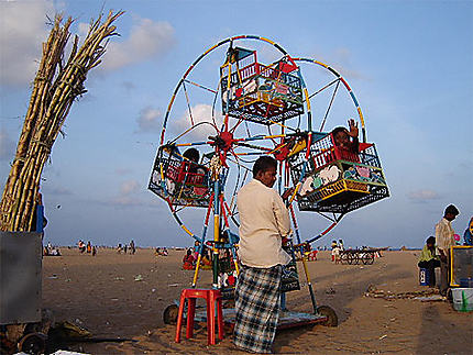 Manege sur la plage de Madras
