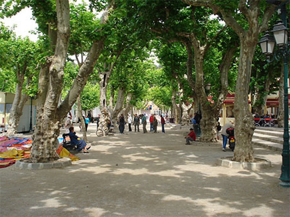 La Place des Lices