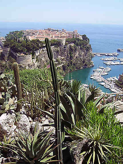 Jardin Exotique Monaco