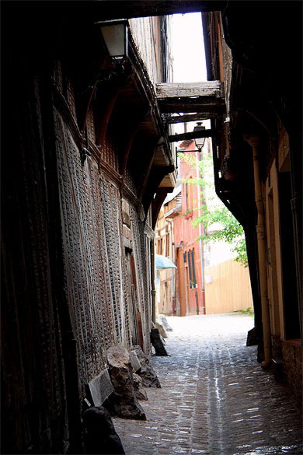 Ruelle des chats