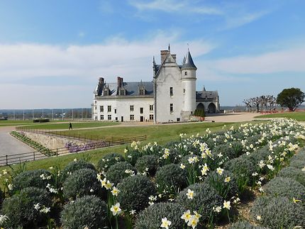  Château d'Amboise