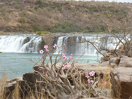 Chutes Chutes