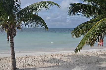 Cuba joli plage de sable fin sur Cayo Blanco