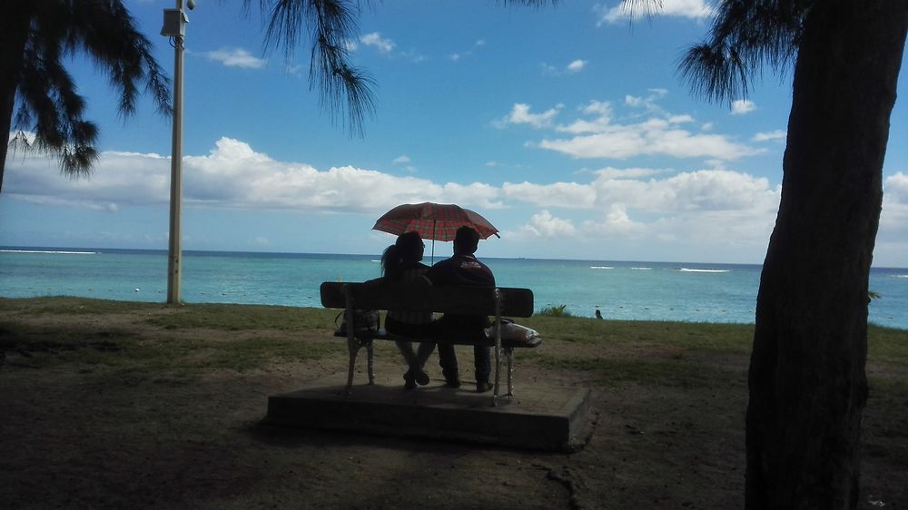 Les amoureux de l'ile Maurice