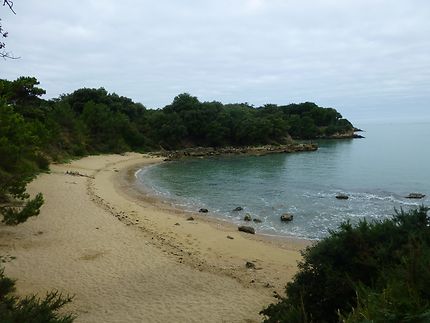 Petite plage sur l'Île d'Aix