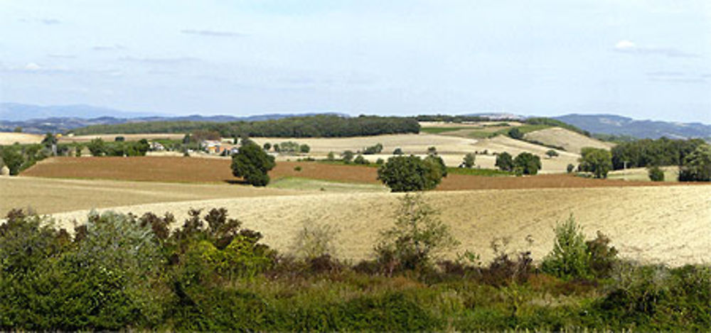 Douceur de la campagne audoise