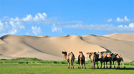 La dune Khongoryn Els La dune Khongoryn Els