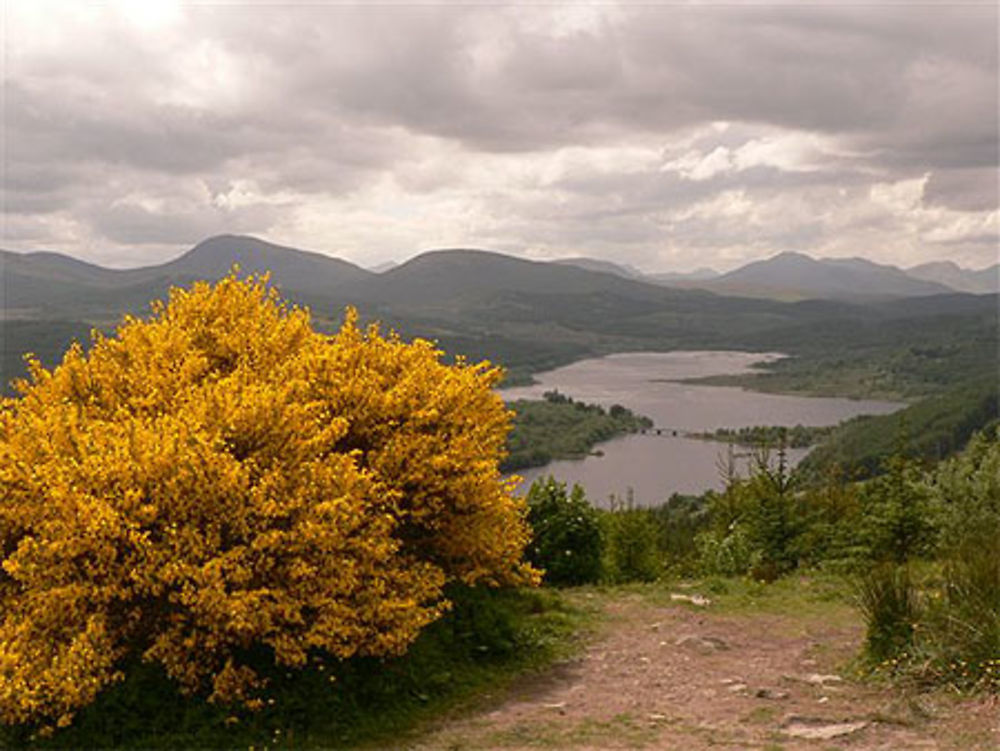 Typique de l'Ecosse