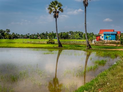 Paysage au Cambodge