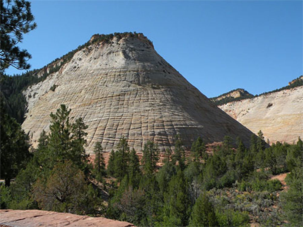 The Watchman