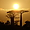 Allée des baobabs soleil levant